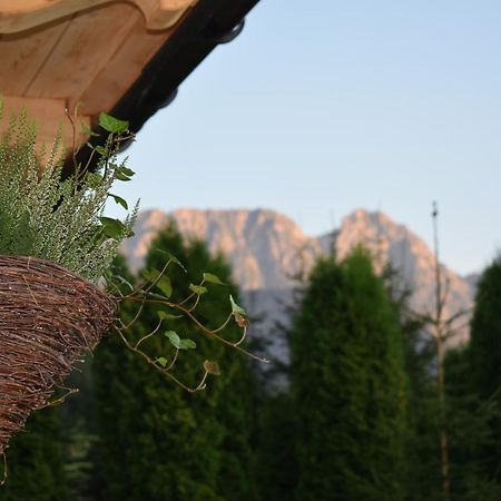 Fiedorowka Villa Закопане Екстериор снимка