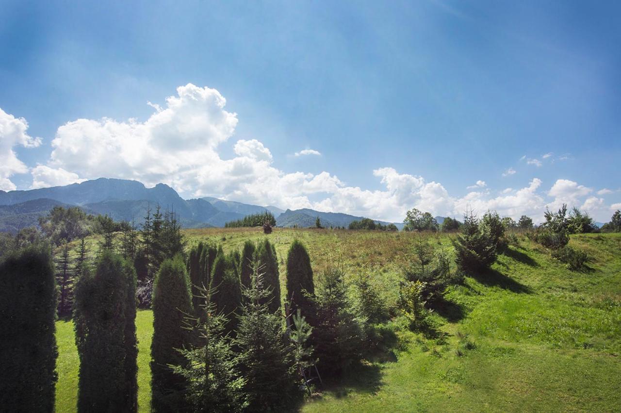 Fiedorowka Villa Закопане Екстериор снимка